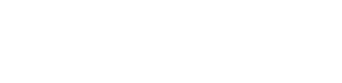 VoiceAI